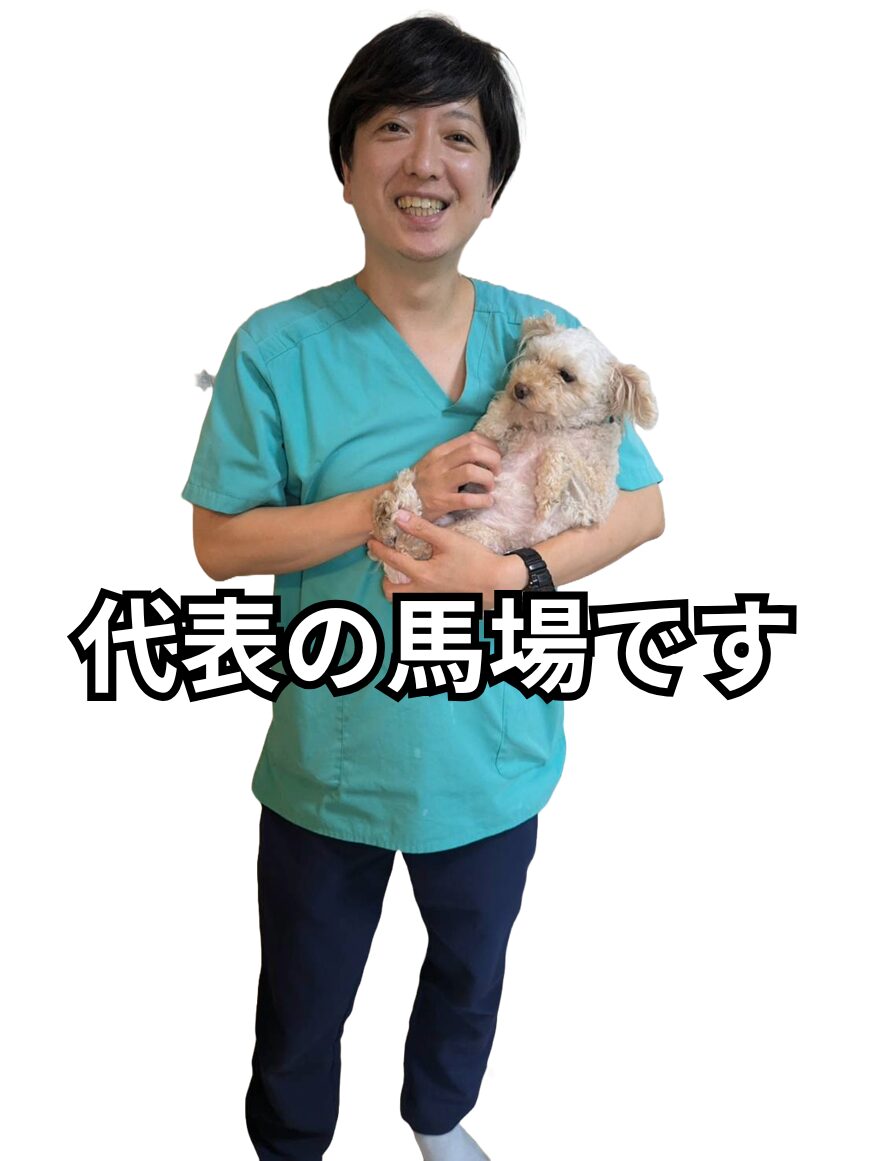 代表の馬場です