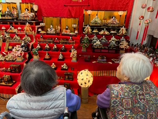 車椅子に乗ってゆったりとお雛様を鑑賞