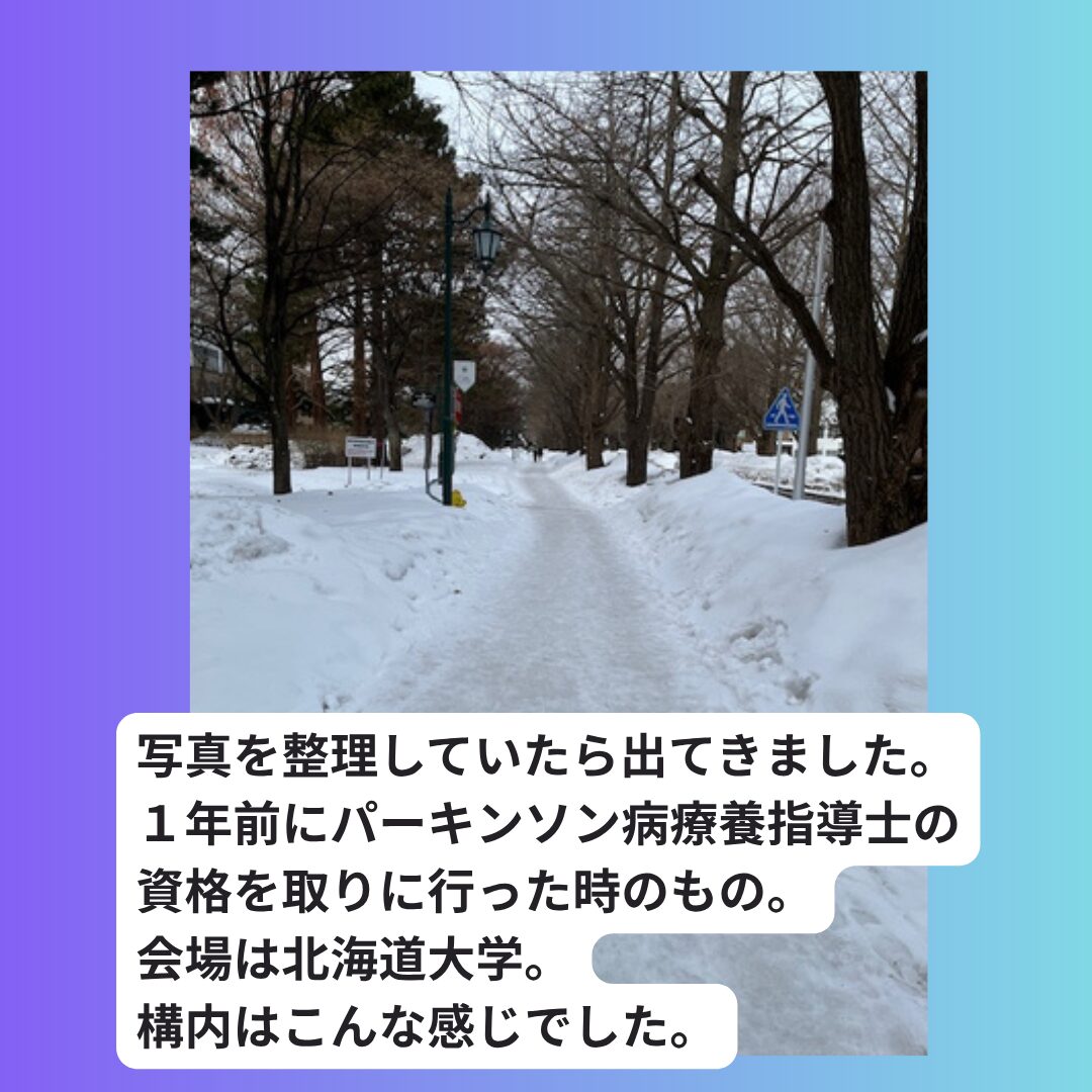 雪の北海道大学